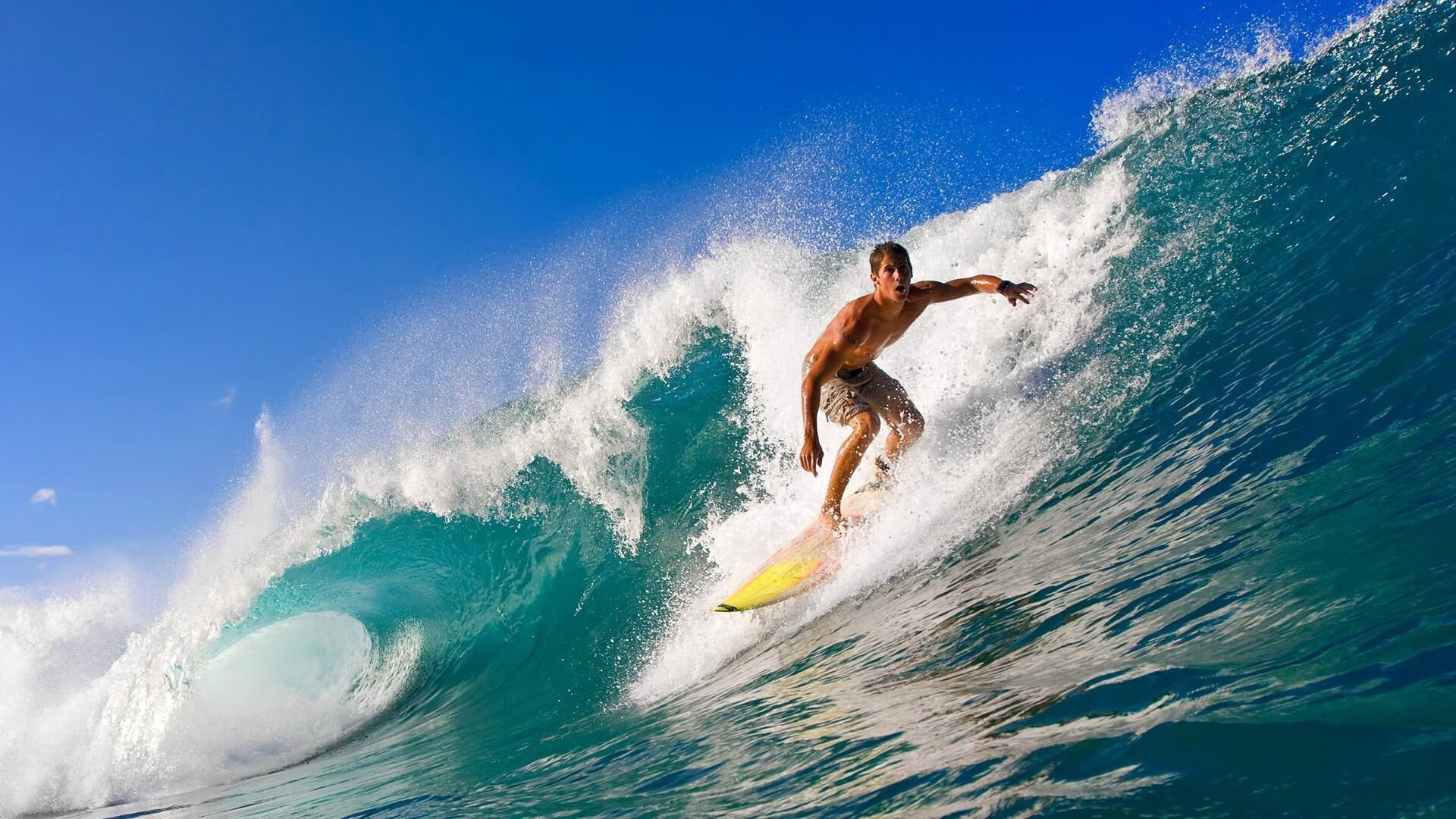 中立B女队滑行段技术趋向规范
